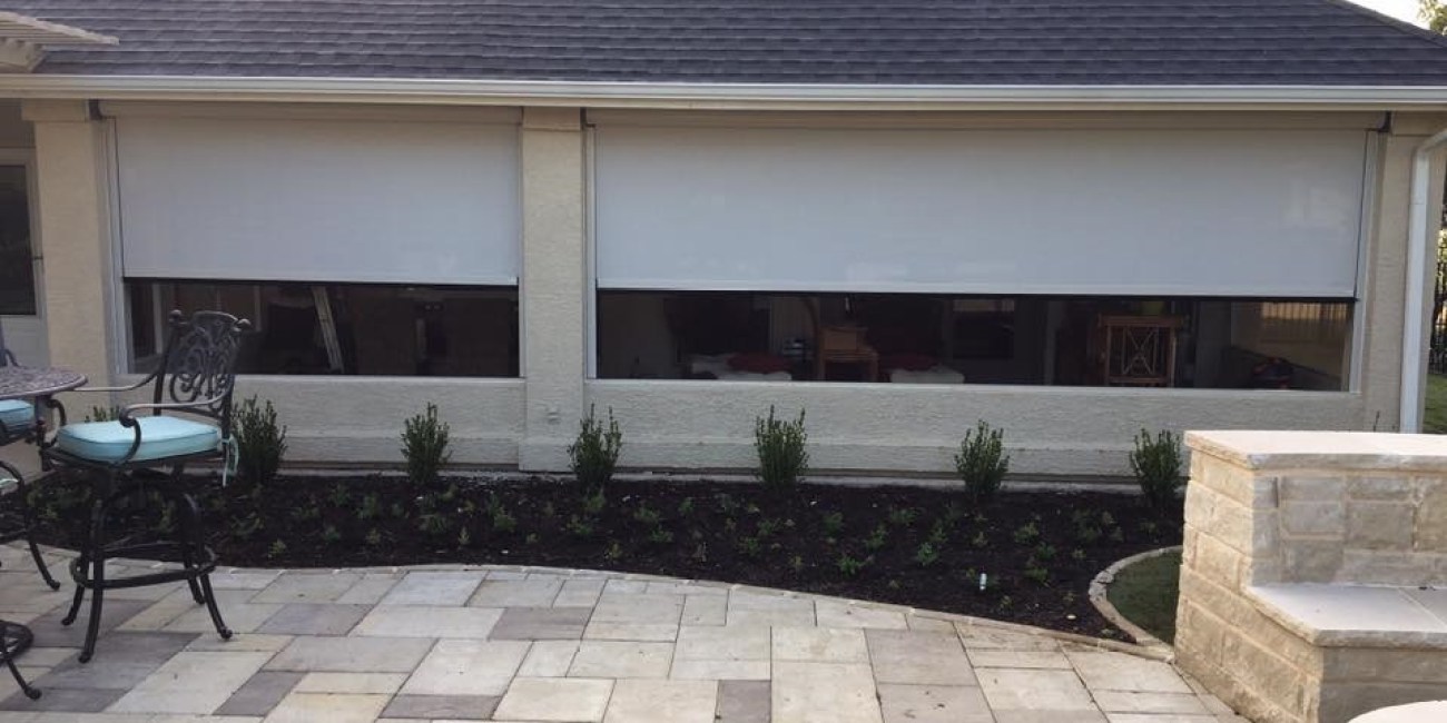 тень на заднем дворе